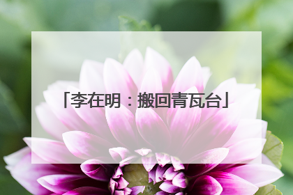 李在明：搬回青瓦台