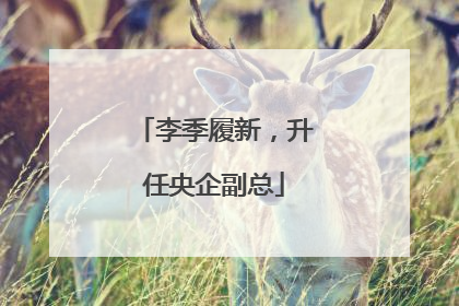 李季履新，升任央企副总