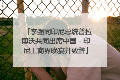 李强同印尼总统普拉博沃共同出席中国－印尼工商界晚宴并致辞