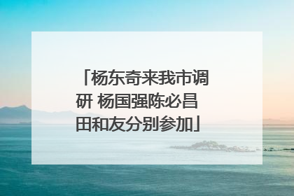 杨东奇来我市调研 杨国强陈必昌田和友分别参加