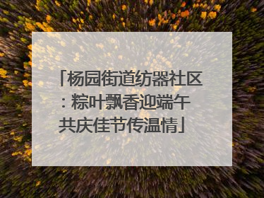 杨园街道纺器社区：粽叶飘香迎端午 共庆佳节传温情
