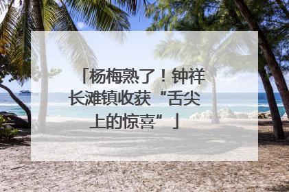 杨梅熟了！钟祥长滩镇收获“舌尖上的惊喜”