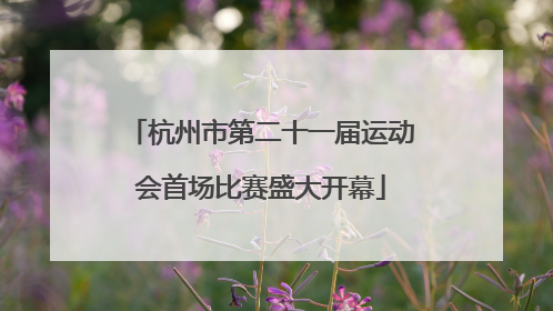 杭州市第二十一届运动会首场比赛盛大开幕