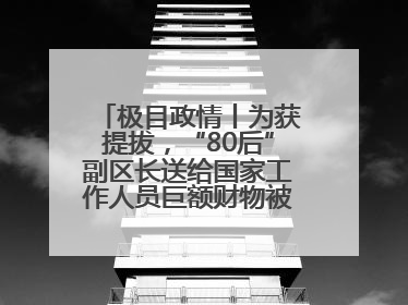 极目政情丨为获提拔，“80后”副区长送给国家工作人员巨额财物被“双开”