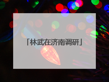 林武在济南调研