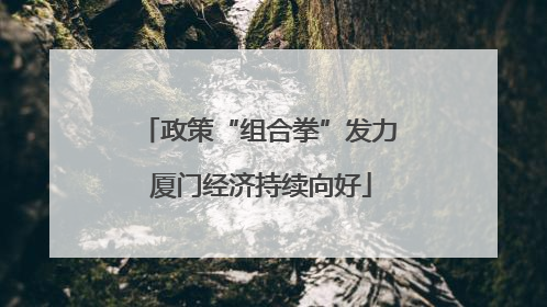 政策“组合拳”发力 厦门经济持续向好