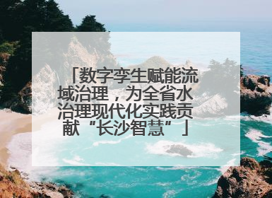 数字孪生赋能流域治理，为全省水治理现代化实践贡献“长沙智慧”