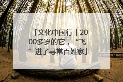 文化中国行丨2000多岁的它，“飞”进了寻常百姓家
