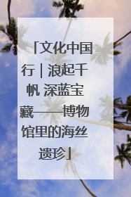 文化中国行｜浪起千帆 深蓝宝藏——博物馆里的海丝遗珍
