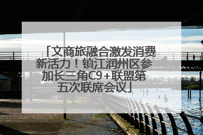 文商旅融合激发消费新活力！镇江润州区参加长三角C9+联盟第五次联席会议