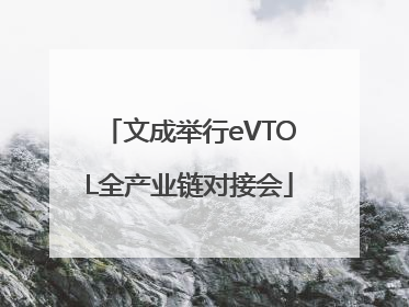 文成举行eVTOL全产业链对接会