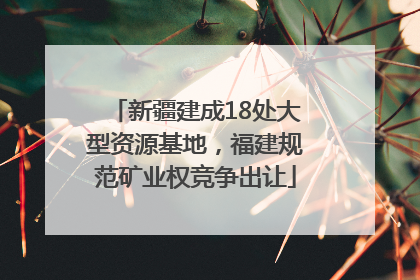 新疆建成18处大型资源基地,福建规范矿业权竞争出让