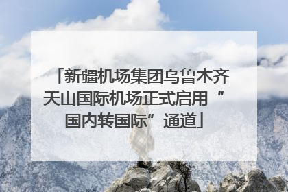 新疆机场集团乌鲁木齐天山国际机场正式启用“国内转国际”通道