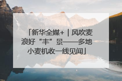 新华全媒+｜风吹麦浪好“丰”景——多地小麦机收一线见闻