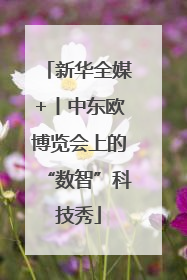 新华全媒+丨中东欧博览会上的“数智”科技秀