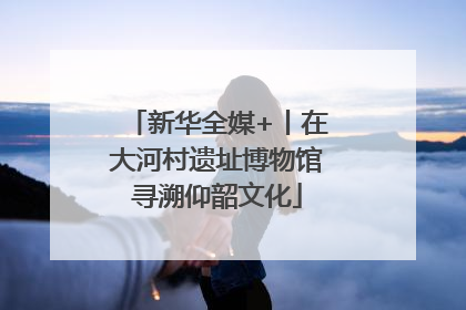 新华全媒+丨在大河村遗址博物馆寻溯仰韶文化
