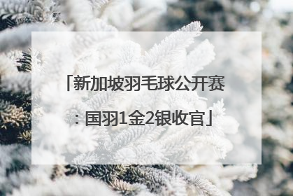 新加坡羽毛球公开赛：国羽1金2银收官