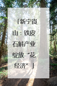 新宁崀山：铁皮石斛产业绽放“花经济”