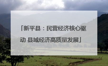 新平县：民营经济核心驱动 县域经济高质量发展