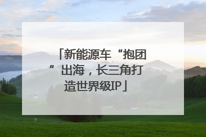 新能源车“抱团”出海，长三角打造世界级IP