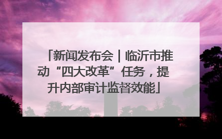 新闻发布会｜临沂市推动“四大改革”任务，提升内部审计监督效能