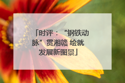 时评：“钢铁动脉”贯湘赣 绘就发展新图景