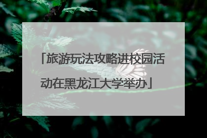 旅游玩法攻略进校园活动在黑龙江大学举办