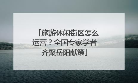 旅游休闲街区怎么运营？全国专家学者齐聚岳阳献策