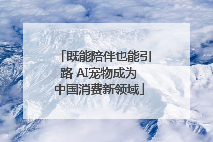 既能陪伴也能引路 AI宠物成为中国消费新领域