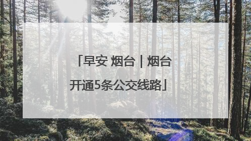 早安 烟台｜烟台开通5条公交线路