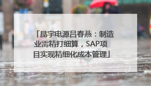 昆宇电源吕春燕：制造业需精打细算，SAP项目实现精细化成本管理