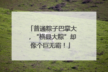 普通粽子巴掌大，“横县大粽”却像个巨无霸！