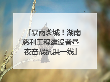 暴雨袭城！湖南慈利工程建设者昼夜奋战抗洪一线