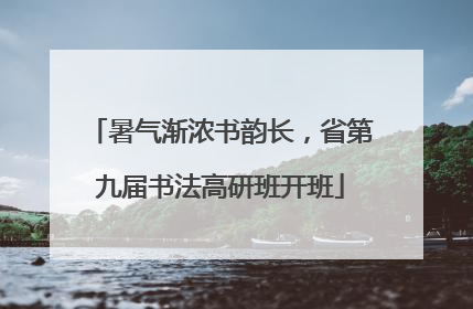 暑气渐浓书韵长，省第九届书法高研班开班