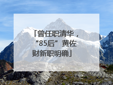 曾任职清华，“85后”黄佐财新职明确