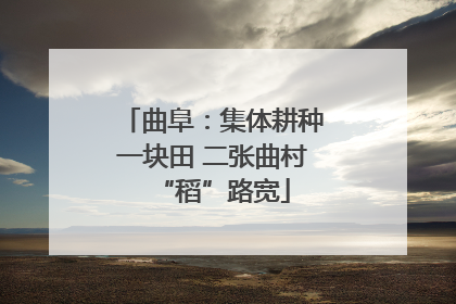 曲阜：集体耕种一块田 二张曲村“稻”路宽