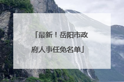 最新！岳阳市政府人事任免名单