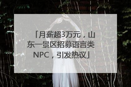 月薪超3万元，山东一景区招募语言类NPC，引发热议
