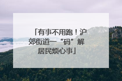 有事不用跑！沪郊街道一“码”解居民烦心事