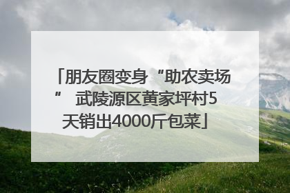 朋友圈变身“助农卖场” 武陵源区黄家坪村5天销出4000斤包菜