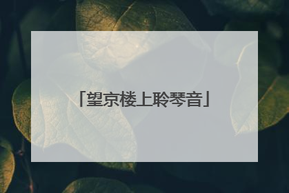 望京楼上聆琴音