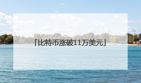 比特币涨破11万美元