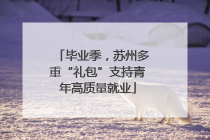 毕业季，苏州多重“礼包”支持青年高质量就业