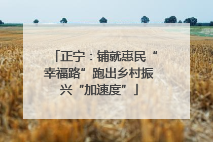 正宁：铺就惠民“幸福路”跑出乡村振兴“加速度”