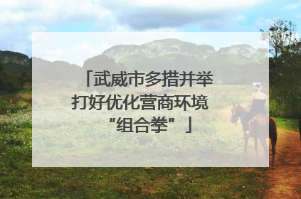 武威市多措并举打好优化营商环境“组合拳”