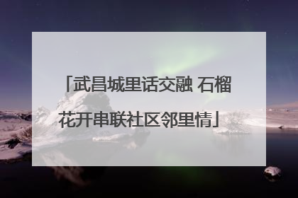 武昌城里话交融 石榴花开串联社区邻里情