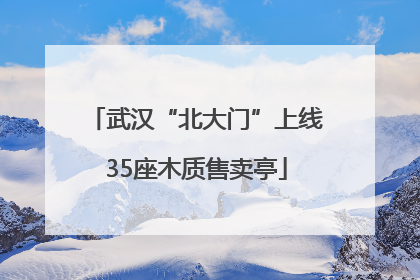 武汉“北大门”上线35座木质售卖亭