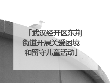 武汉经开区东荆街道开展关爱困境和留守儿童活动
