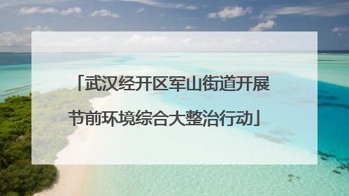 武汉经开区军山街道开展节前环境综合大整治行动