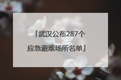 武汉公布287个应急避难场所名单